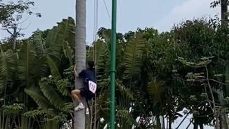 海南年轻小伙参与“三月三”椰攀活动身姿矫健
