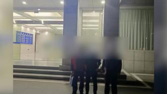 15.3亩！武汉新洲区3名男子因非法占用耕地被刑拘