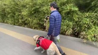 全盲者杨康：希望带导盲犬迪克去西藏，让更多人了解无障碍出行