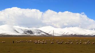 中华人民共和国青藏高原生态保护法（全文）