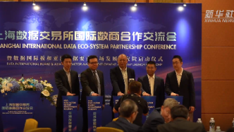 上海数据交易所国际板正式启动建设