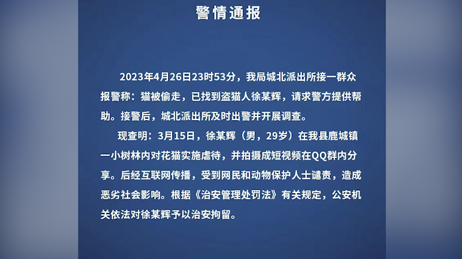 29岁男子虐猫并拍短视频在QQ群分享，被阜南警方治安拘留