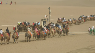 旅游强势复苏：敦煌“堵骆驼”，西安地铁客流同期增百余万