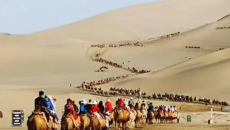 敦煌景区为防止“堵骆驼”，专门给骆驼设红绿灯
