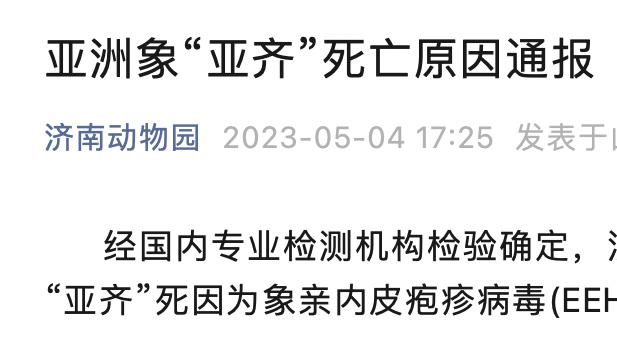 济南动物园通报亚洲象“亚齐”死因：象亲内皮疱疹病毒感染