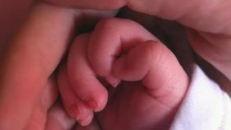 英国首批三亲婴儿诞生：体内有3人DNA，可防线粒体病遗传
