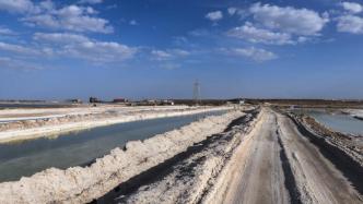 止跌回升！青海盐湖工业级碳酸锂拍卖，成交价逾24万元/吨