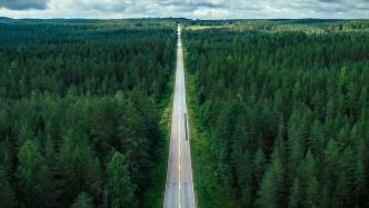 北欧森林为何能“越砍越多”