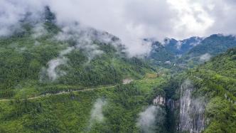 湖北官方通报网红浮桥有车落水：5人死亡，景区已暂停营业