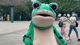 “卖崽青蛙”设计者是位南京宝妈：不会计较版权，很开心带来快乐
