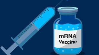 最新实验失败，BioNTech放弃口服mRNA疫苗研发计划