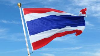 泰国8个政党宣布联盟，支持皮塔出任新总理