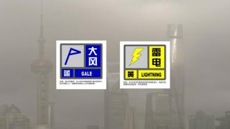 大风+雷电，上海目前“一蓝一黄”预警高挂