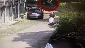 柳州警方：男子被高空坠物砸中昏倒，坠落物系从住户露台坠落