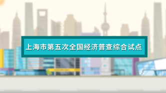 3月至6月，上海市开展第五次全国经济普查综合试点