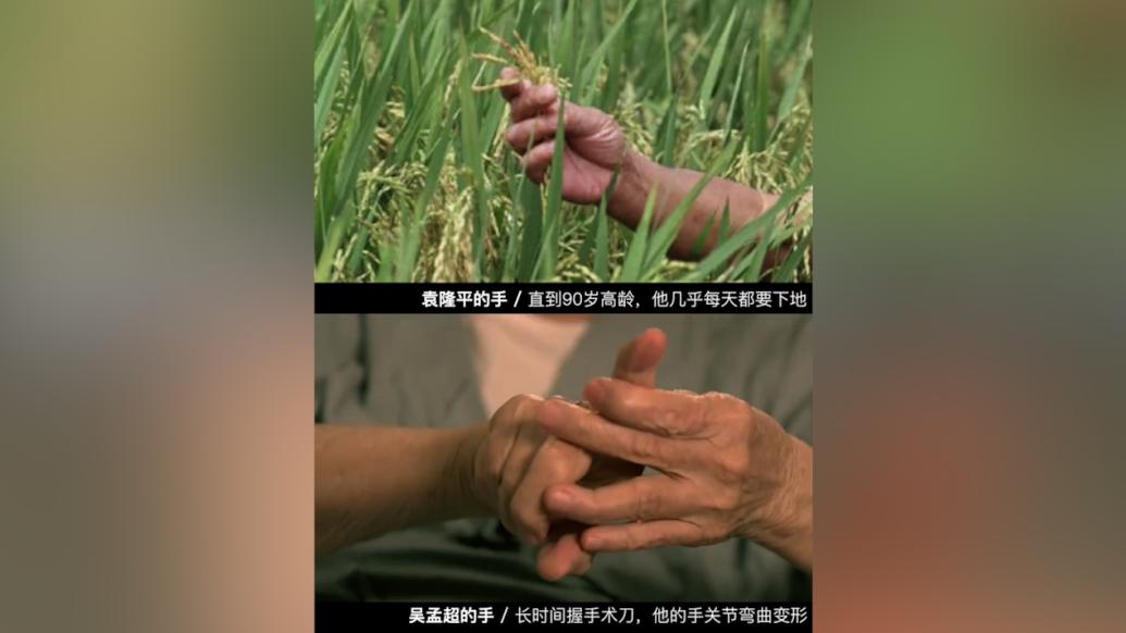 这是无法可修饰的一对手