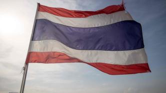 泰国8个政党就组建联合政府签署谅解备忘录，支持皮塔出任总理