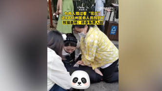 4名医务人员为救人错过看花花，成都熊猫基地：终身免费入园