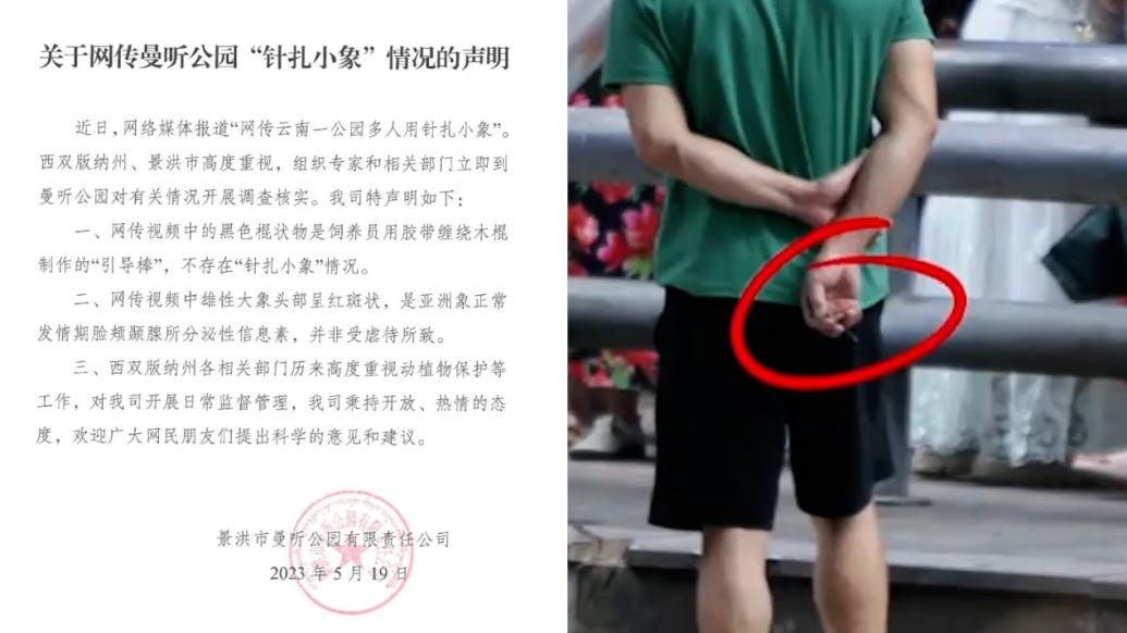 云南曼聽公園通報馴象師被指刺扎小象:棍狀物系引導棒