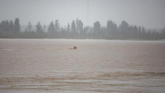 受降雨影响，陕西安康12条河流出现洪峰