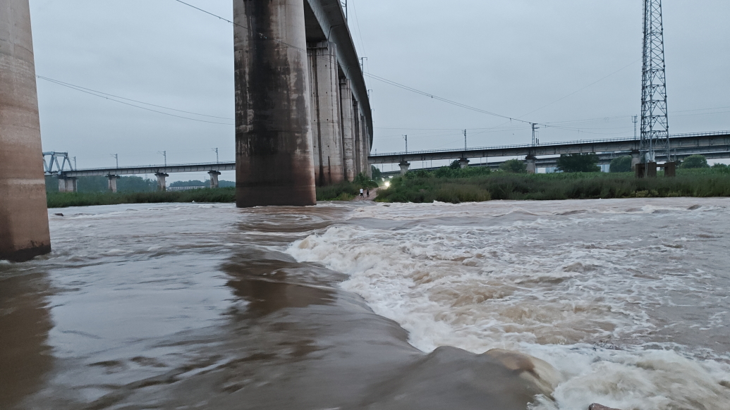 河水突涨8名垂钓者被困河中小岛，武汉消防用消防软梯施救