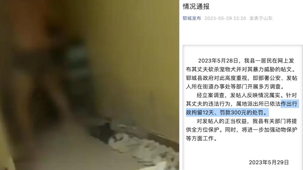 山東鄆城通報男子砍殺寵物犬并威脅妻子：拘留12天并罰款