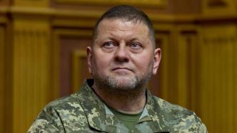 俄媒：俄内务部宣布通缉乌武装部队总司令扎卢日内