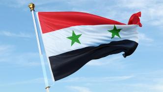 叙媒：叙利亚已任命驻阿盟代表
