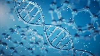 《人类遗传资源管理条例实施细则》印发，7月1日起施行