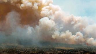 直击｜受反常高温影响，加拿大野火继续肆虐，浓烟飘往美国