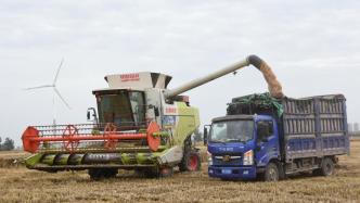 河南省已收获小麦3721.8万亩，约占全省种植面积的43.7%