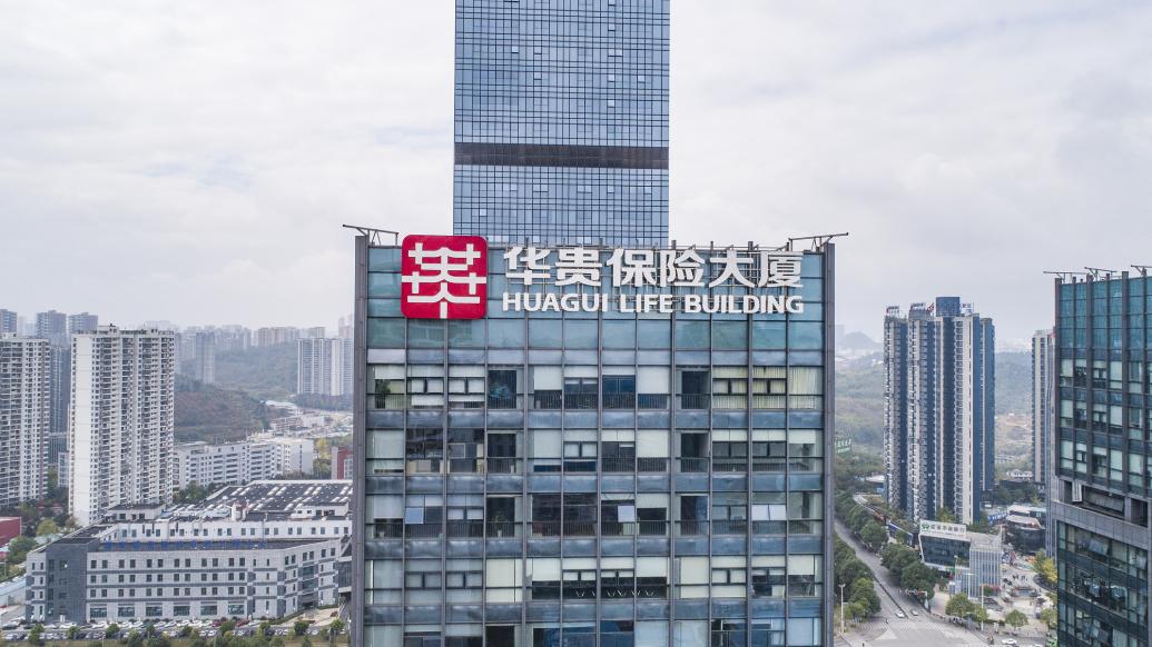 华贵人寿投资收益率及利率风险分析报告