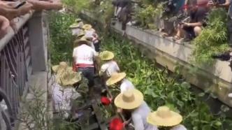 可追溯到明朝！佛山591歲龍舟重出江湖