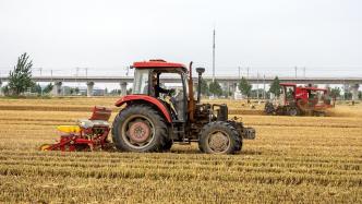 河南：6月5日至7日小麦抢收重心将转至黄河以北地区
