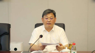 武汉市副市长王清华接受审查调查
