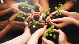公益湃CSR周刊：理念与行动，企业多维助力生态保护