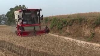 财政部下达救灾资金2亿元，支持河南做好小麦抢收等减灾减损工作