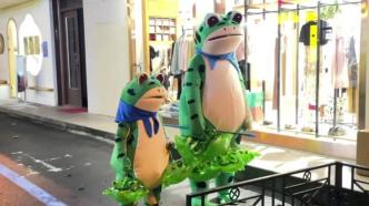 一群特立独行的“蛙”：他们不“卖崽”，只“发疯”