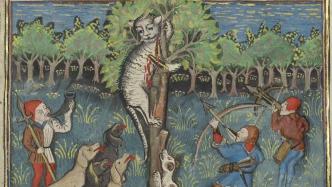 寻猫启示｜被剥皮、活烧、视为魔鬼……猫的中世纪噩梦