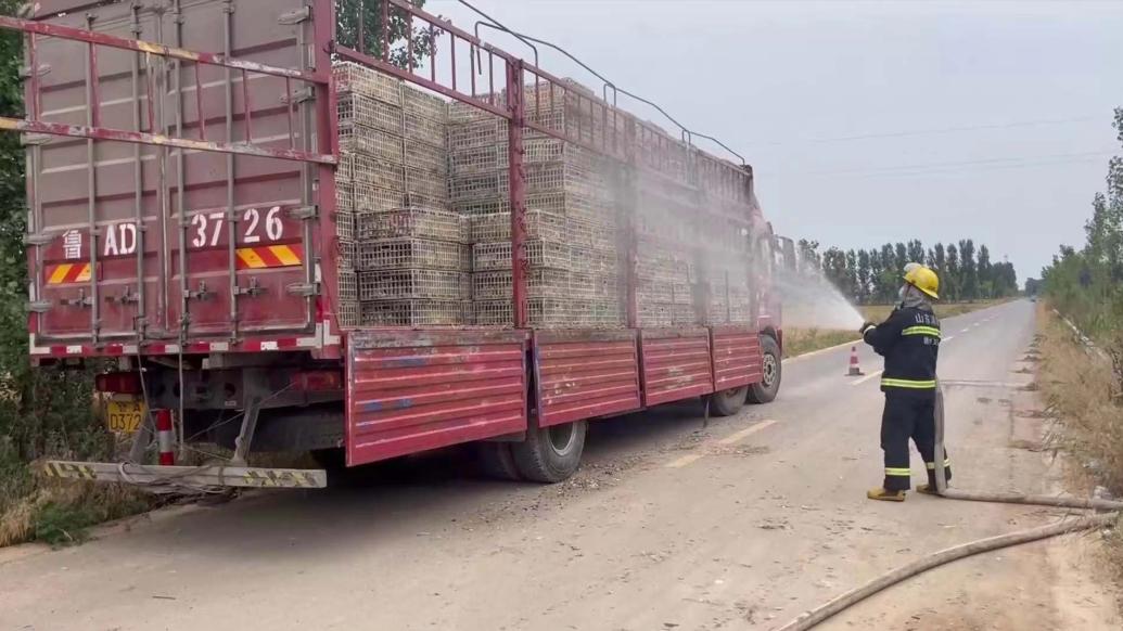 550箱活雞中暑險(xiǎn)變“烤雞”，消防“人工降雨”搶救