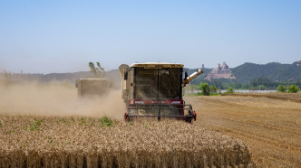 麦收进度99.2%！河南已收获小麦8456.8万亩