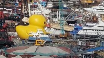 香港：“泄气”大黄鸭重新充气，大批市民及游客打卡观赏