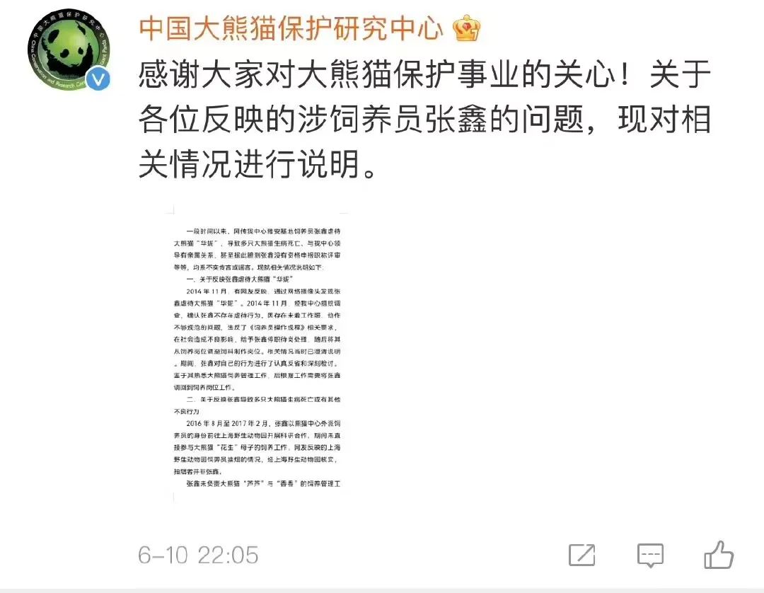官方回应旅美大熊猫产后疑遭虐待 真相来了！_中国网