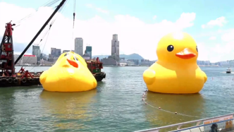 直播录像丨大黄鸭10年后重返香港“热爆了”，直击“充气”现场