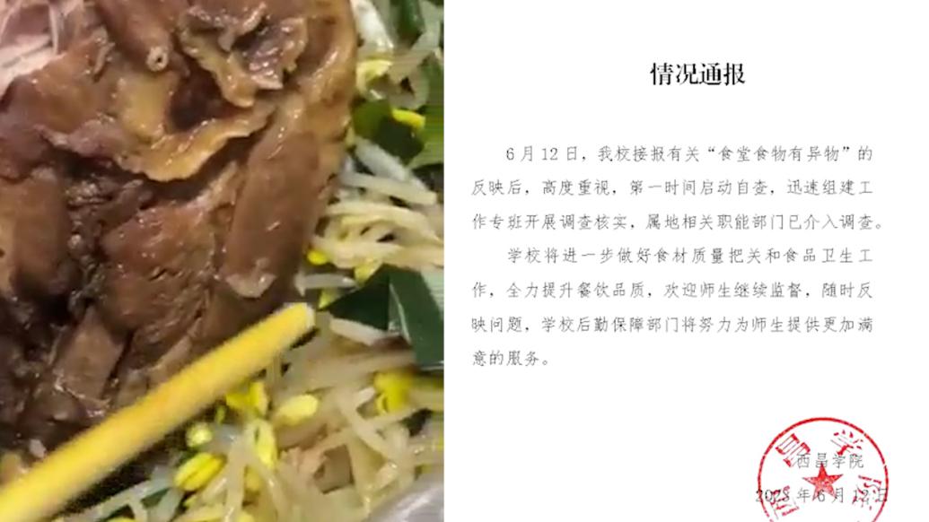 西昌学院通报“食堂食物有异物”：组建工作专班调查核实