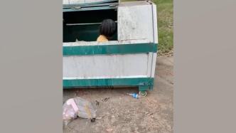 武汉一小女孩站垃圾箱里翻垃圾，社区：有智力障碍家人管不住