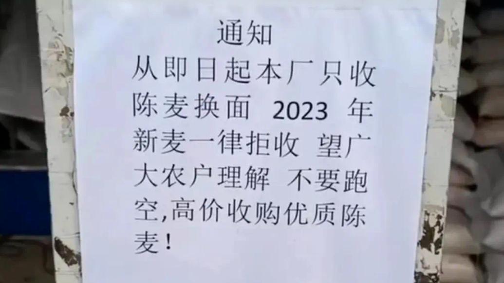 商丘虞城县回应一面粉厂拒收新麦：当地有指定收麦单位