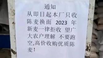 商丘虞城县回应一面粉厂拒收新麦：当地有指定收麦单位