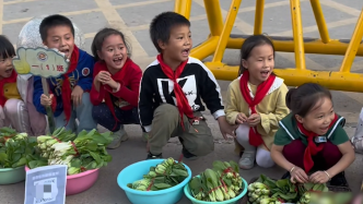 学生在校门口叫卖自种蔬菜，老师：所获收益将用于公益