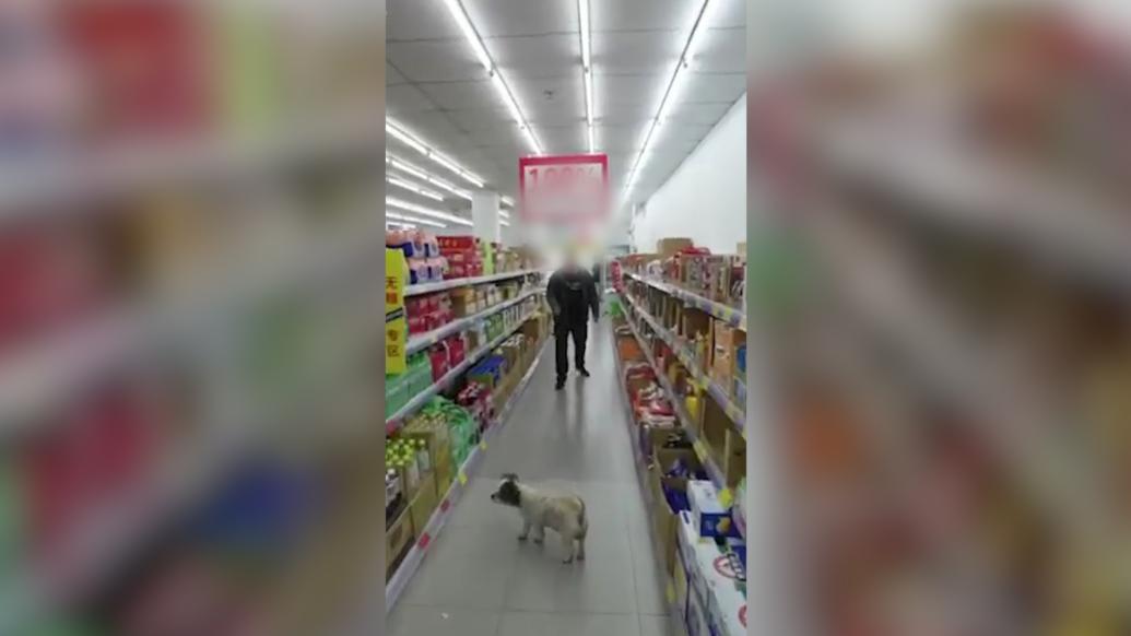 男子带狗进超市还不拴绳，顾客提醒被辱骂
